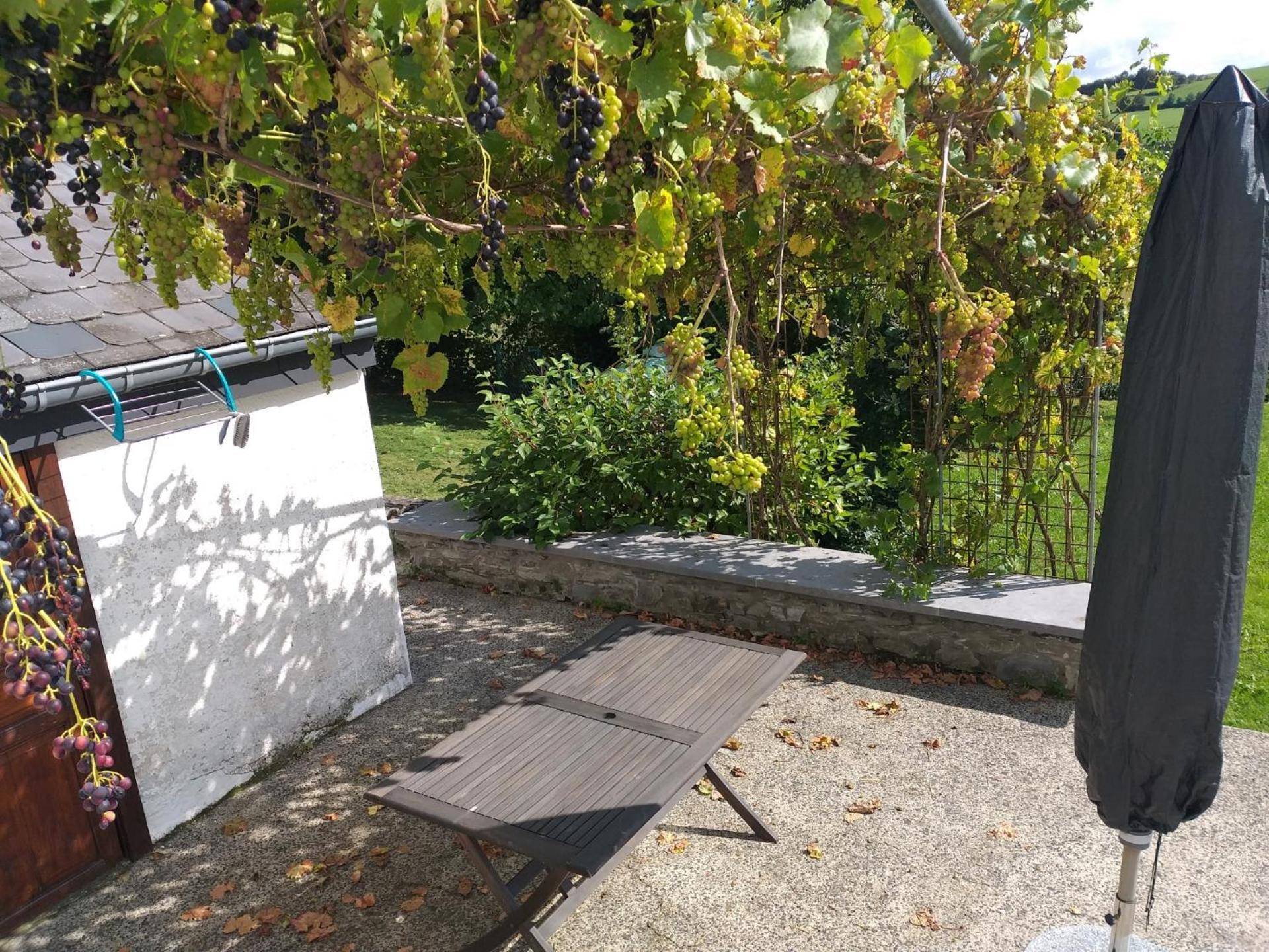 Gite L'Ecole De Ma Mere Vila Bertogne Exterior foto